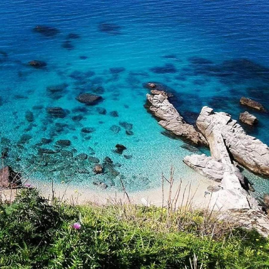 Ninfa Sul Mare Apartments 50 M E T R I Dal Mare Best Breakfast And Free Parking カーポ・ヴァチカーノ エクステリア 写真